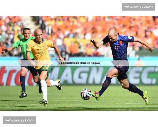 全面解析世界杯足球赛的历史起源与赛事魅力及全球影响发展概况